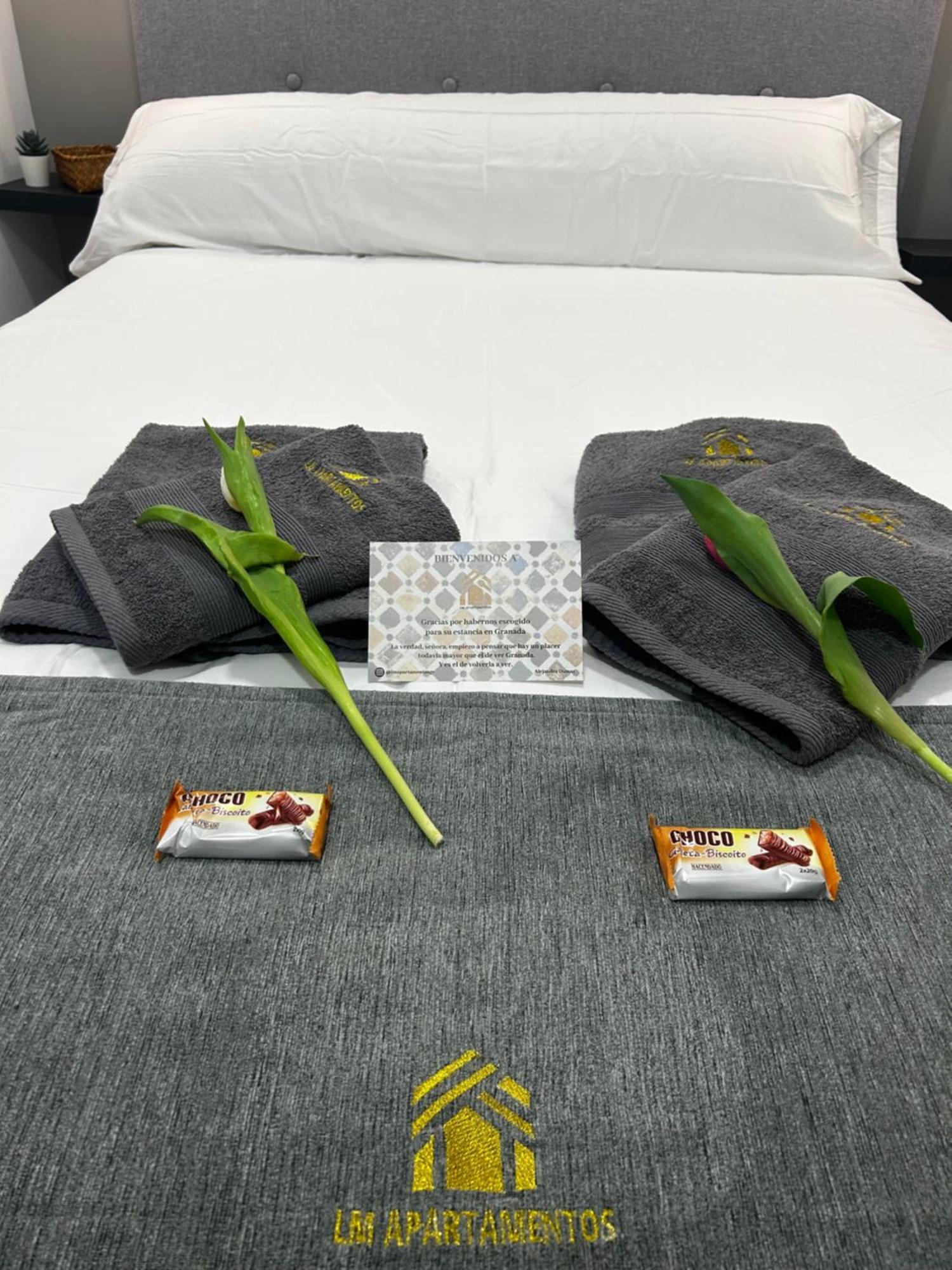 Lm Apartamentos Puentezuelas グラナダ エクステリア 写真