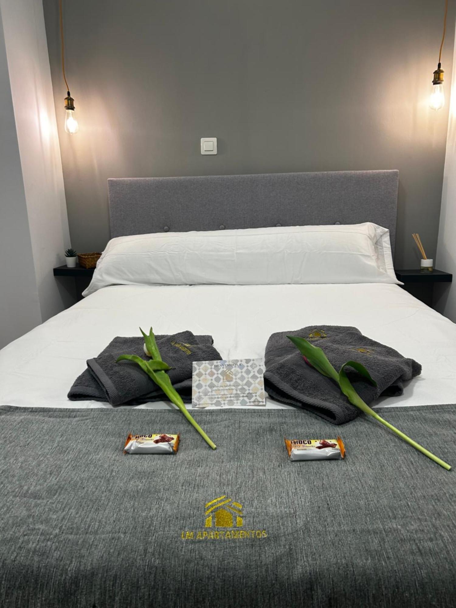 Lm Apartamentos Puentezuelas グラナダ エクステリア 写真